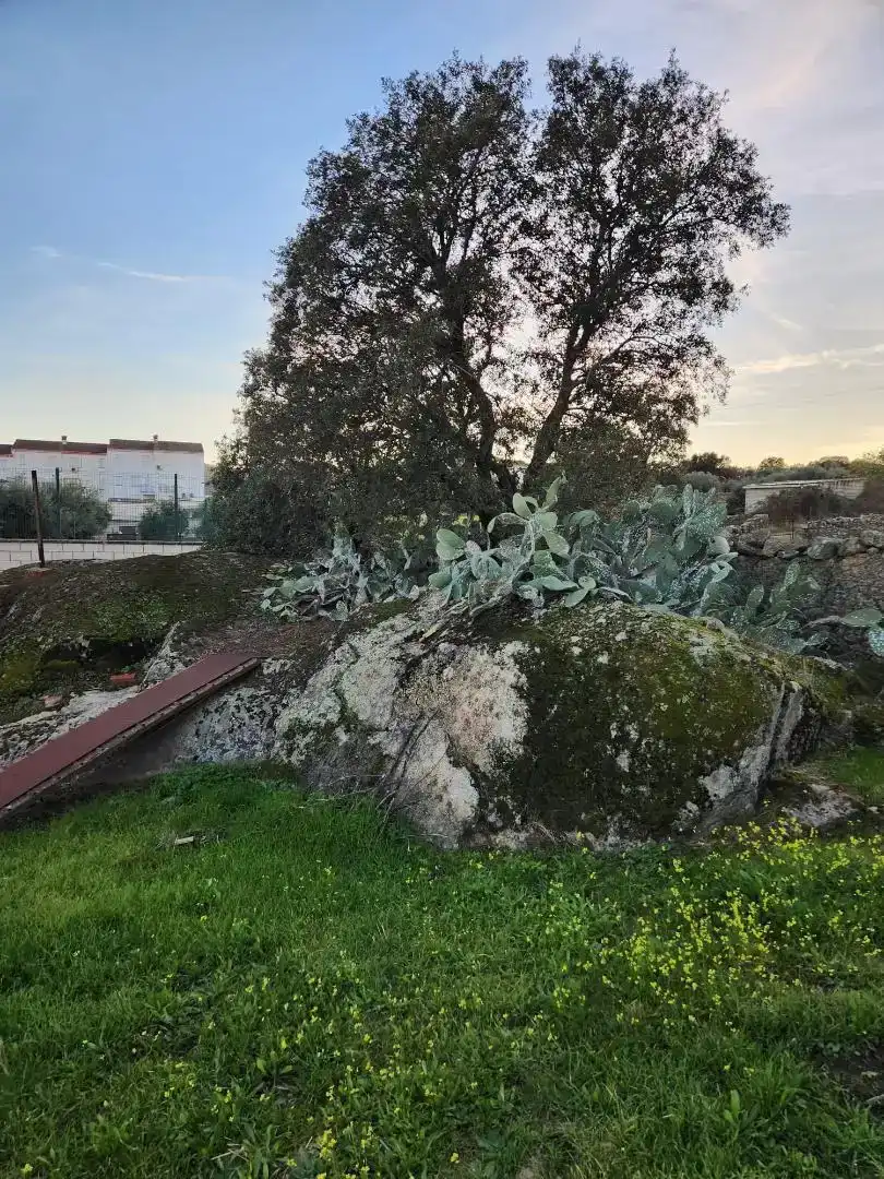 Garten von Wohnung zum Verkauf in Valdefuentes, Cáceres