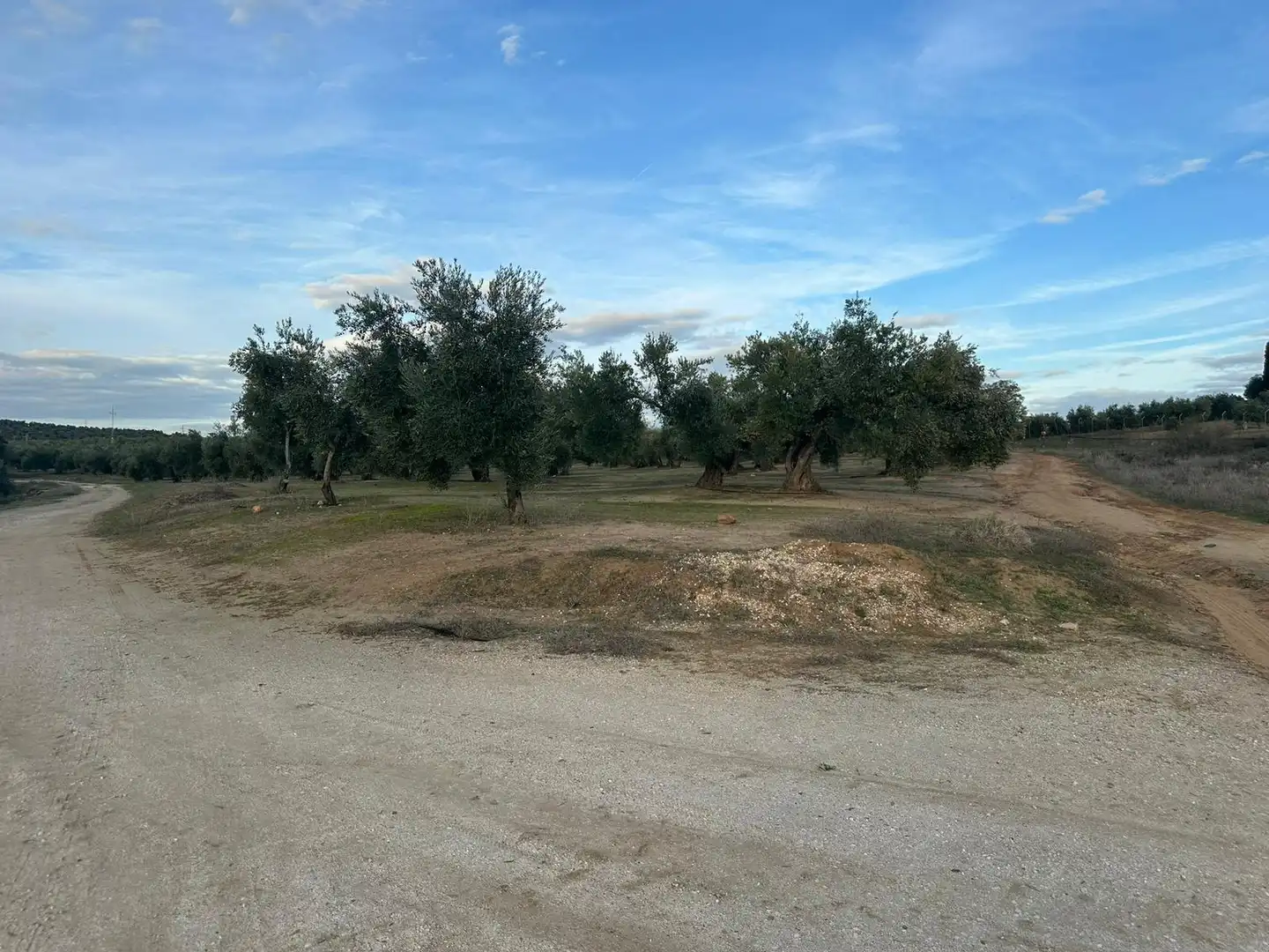 Grundstücke zum Verkauf in Andújar