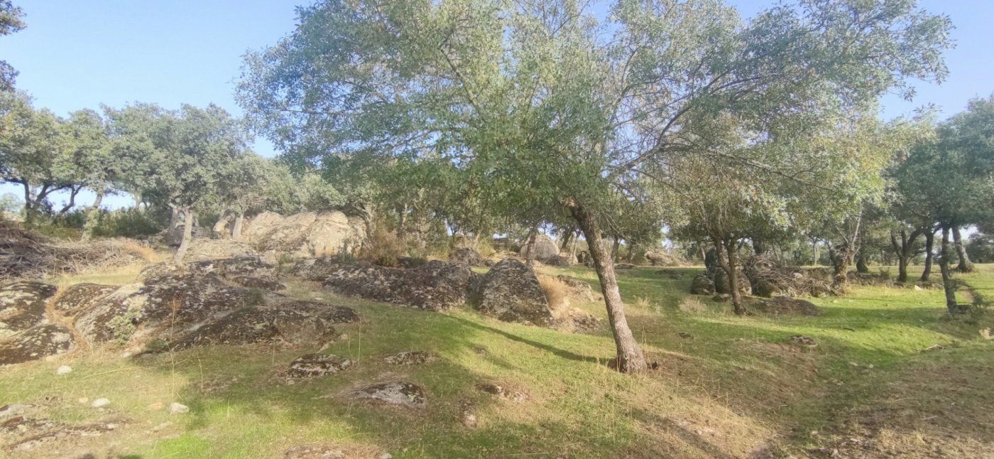 Country house for sale in Galapagar  with Heating, Private garden and Terrace