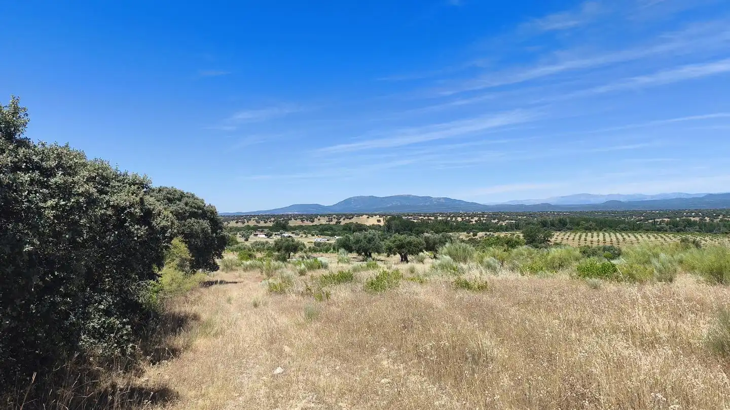 Grundstücke und Bauplätze zum Verkauf in De Los Olivares, imagen 3