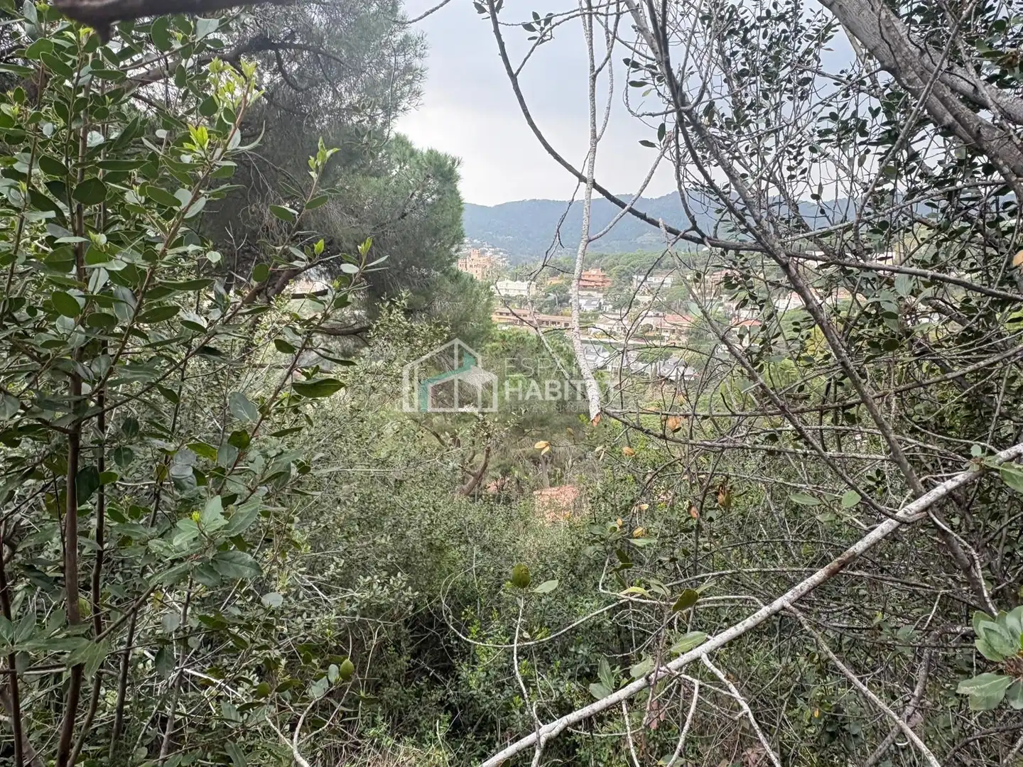 Terreny residencial en venda a Cabrils, imagen 6