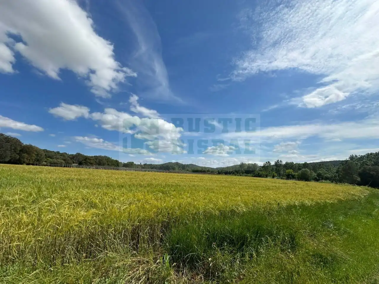 Finca rústica en venta en La Pera