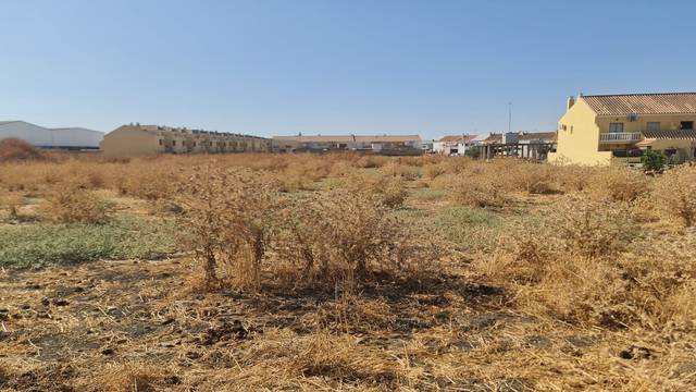 Terreno residencial en Venta en SECTOR 2, -1 en El Coronil