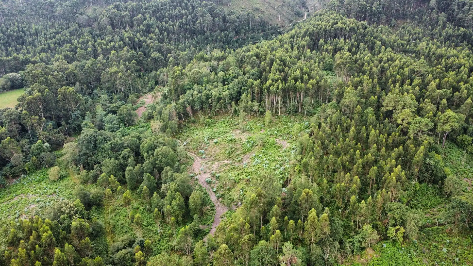 Terreno rustico in vendita a Pría - Nueva-Hontoria - Naves, imagen 17