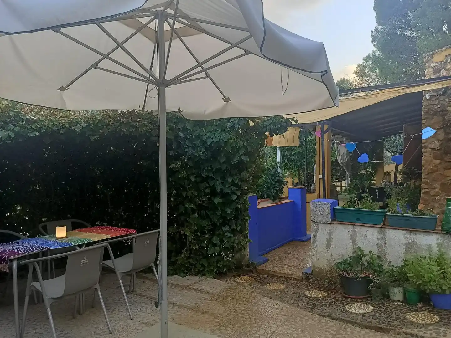 Jardí de Casa o xalet en venda en Piedrabuena amb Aire condicionat, Calefacció i Jardí privat