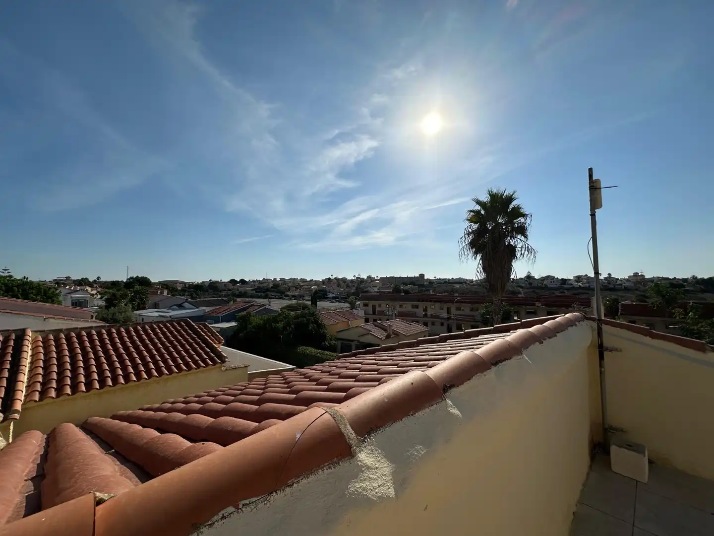 Vista exterior de Casa o chalet en venta en San Fulgencio con Jardín privado, Terraza y Horno