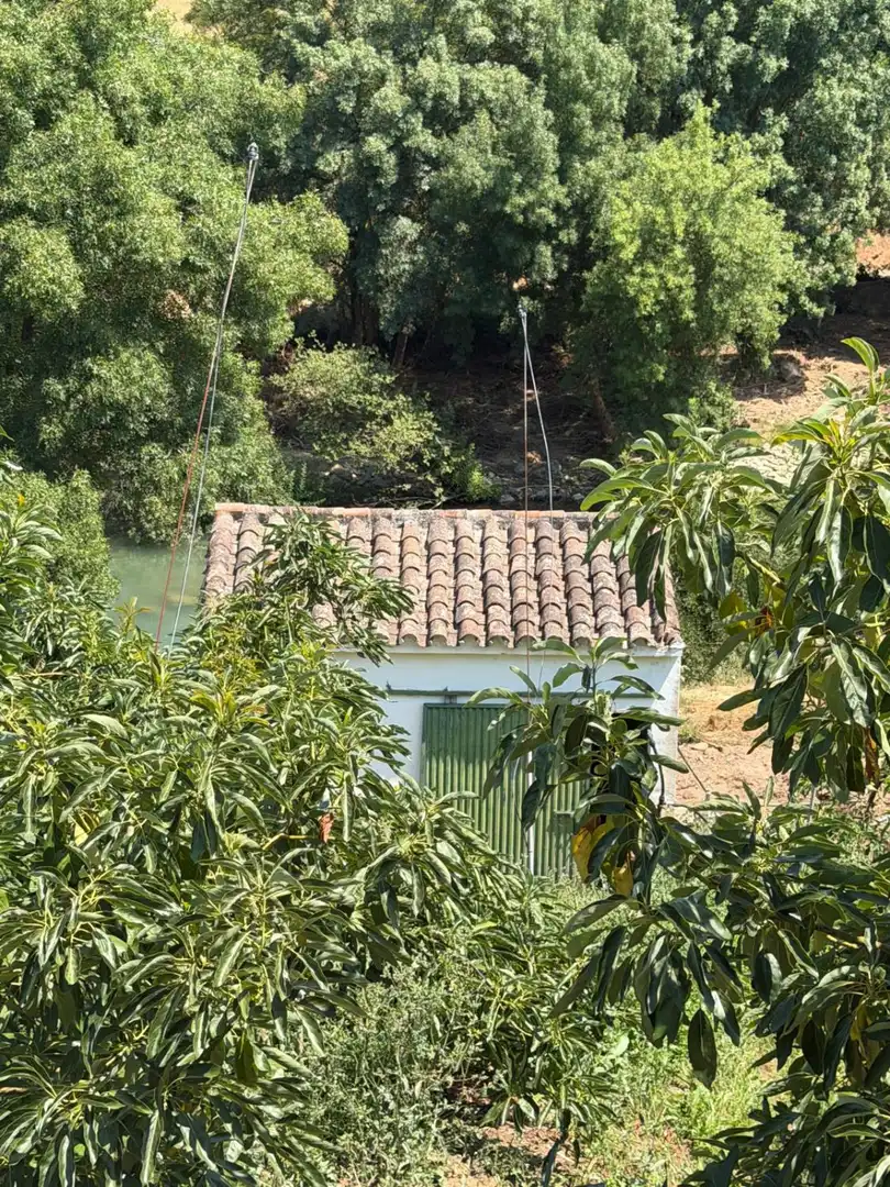 Vista exterior de Finca rústica en venda en Gaucín amb Jardí privat, Terrassa i Piscina