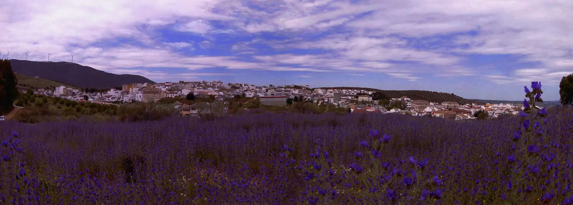 Residential land for sale in Calle de Granada 101, imagen 5