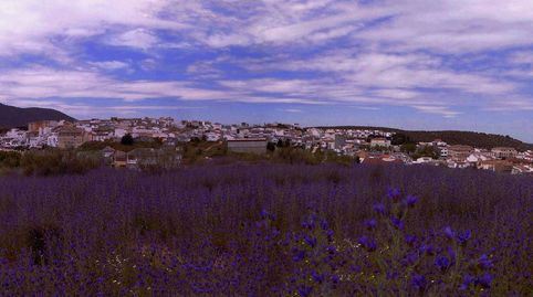 Foto 5 de Residencial en venta en Calle de Granada, 101, Villanueva de Algaidas, Málaga