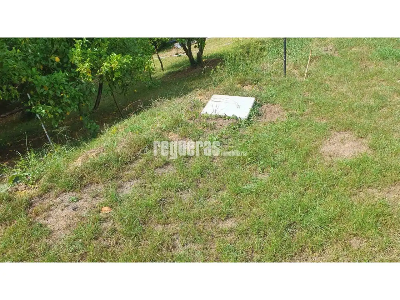 Lands and plots for sale in Magdalena, imagen 13