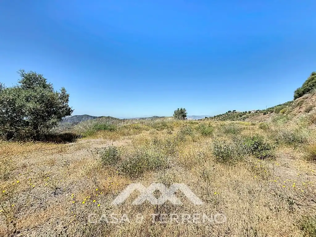 Land for sale in Canillas de Albaida
