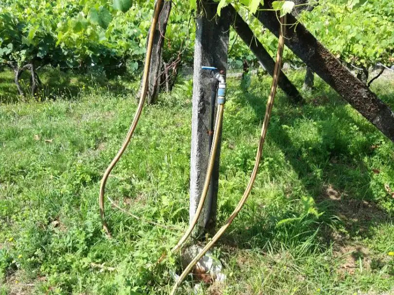 Jardín de Terreno en venta en Campo Lameiro, Pontevedra