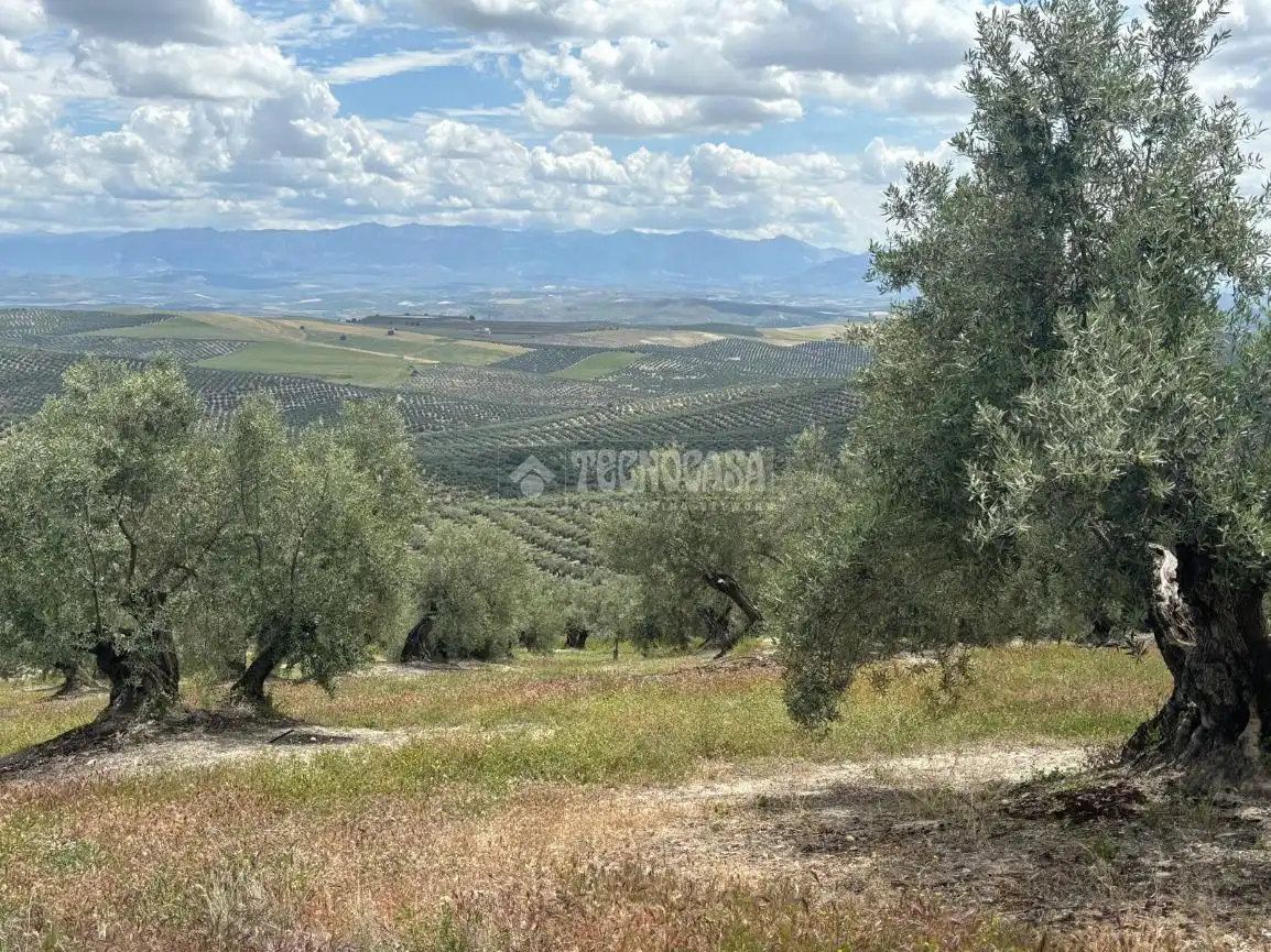 Terreni e lotti in vendita a Torreperogil, imagen 5