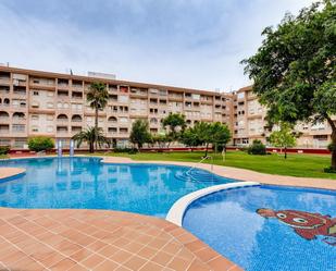 Piscina de Apartament en venda en Torrevieja amb Terrassa i Balcó