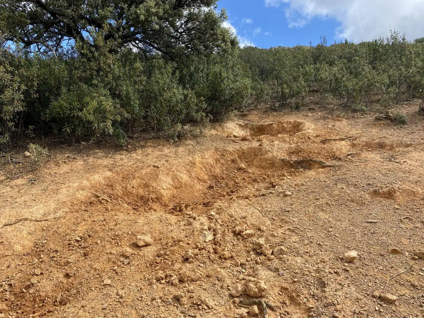 Terreno en venta en Deleitosa