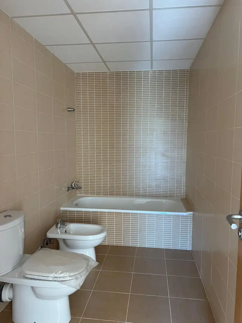 Bathroom of Flat for sale in Aldover  with Terrace