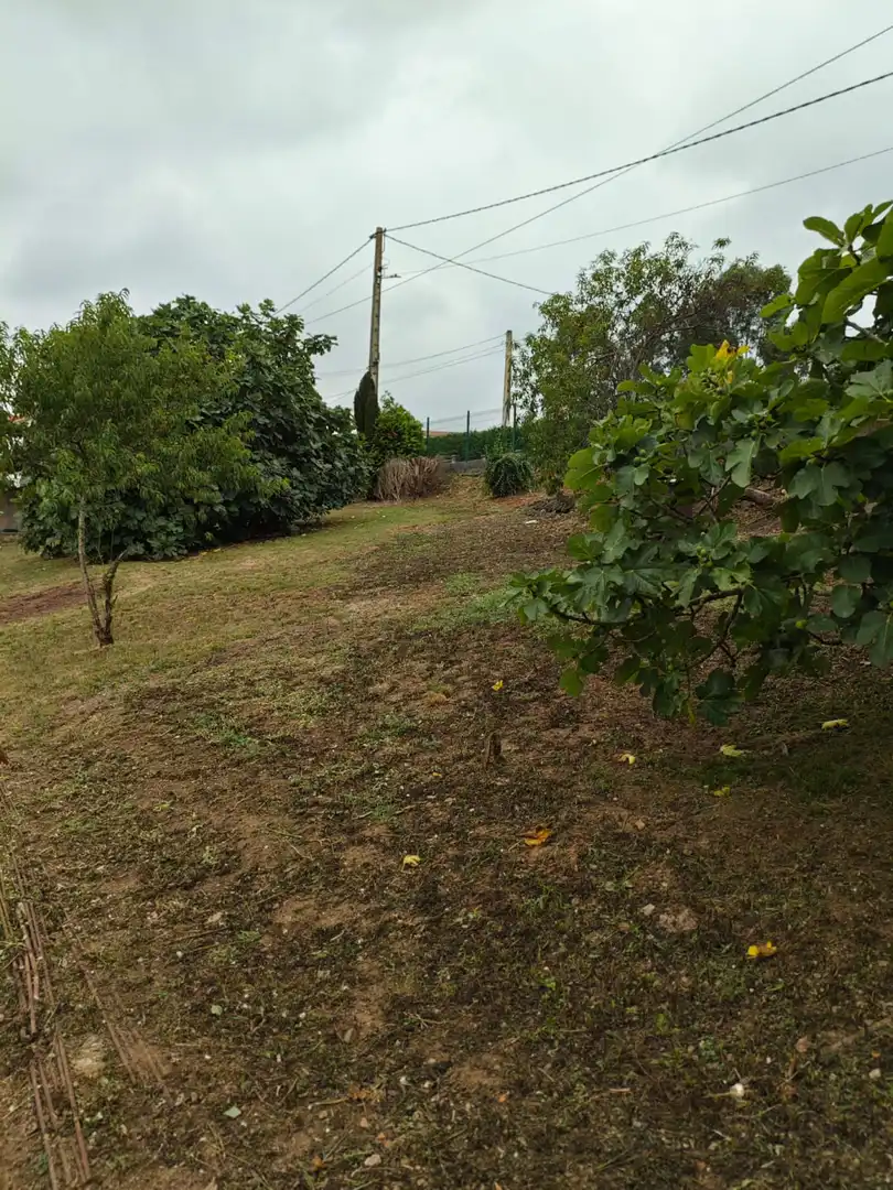 Houses for sale in Castrillón