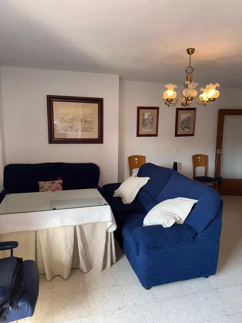 Living room of Flat for share in Granada  with Air Conditioner, Terrace and Furnished