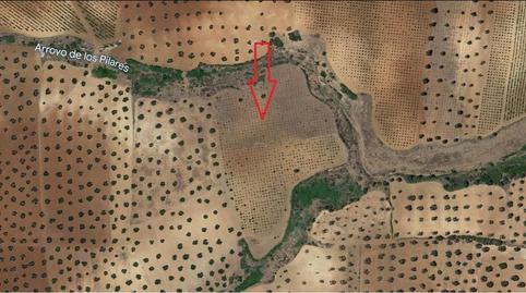 Foto 2 de Finca rústica en venda a Villalba de los Barros, Badajoz