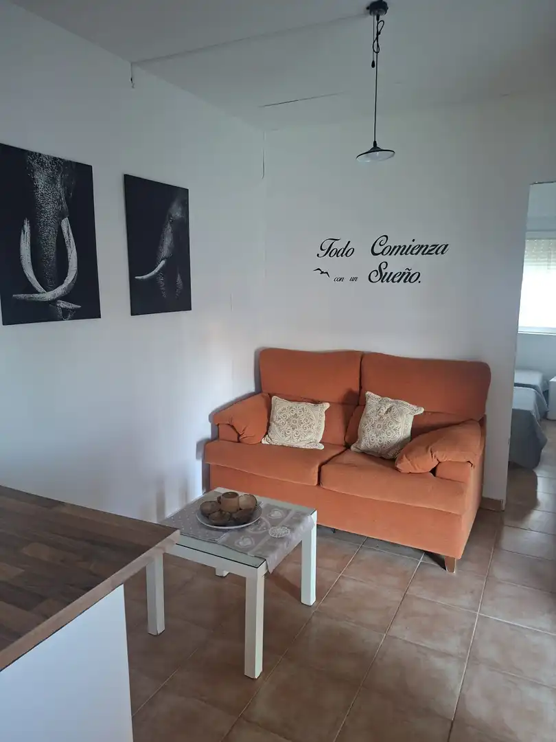 Terreny rústic en venda a Bellavista - La Palmera, imagen 13