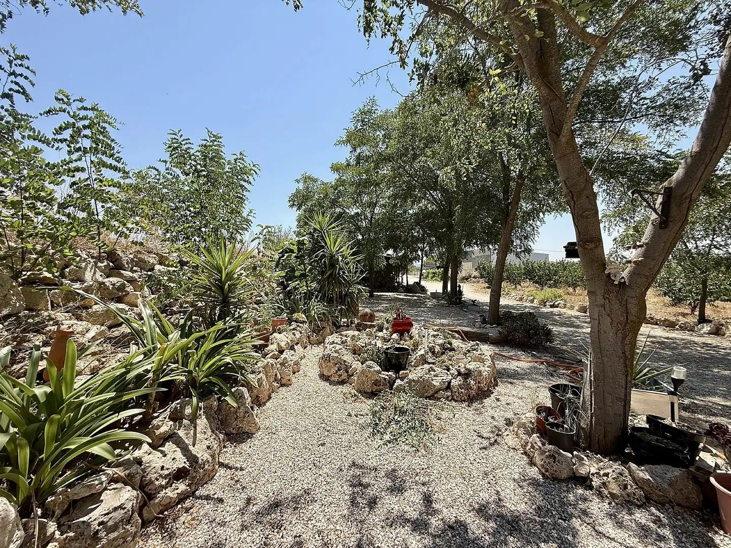 Jardí de Finca rústica en venda en Villena amb Terrassa