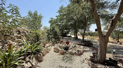 Foto 5 de Finca rústica en venda a Las Cruces, Villena