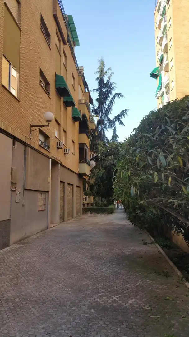 Vista exterior de Local de alquiler en Granada