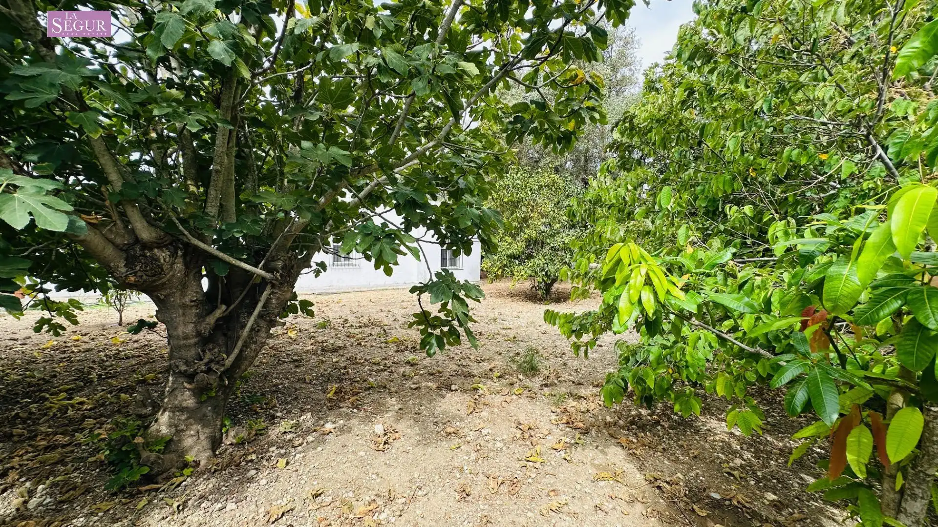 Detached house with garden for sale in Carretera de Barrio Nuevo, imagen 28
