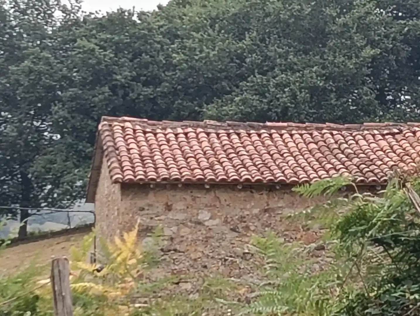 Vista exterior de Casa o xalet en venda en Puente Viesgo
