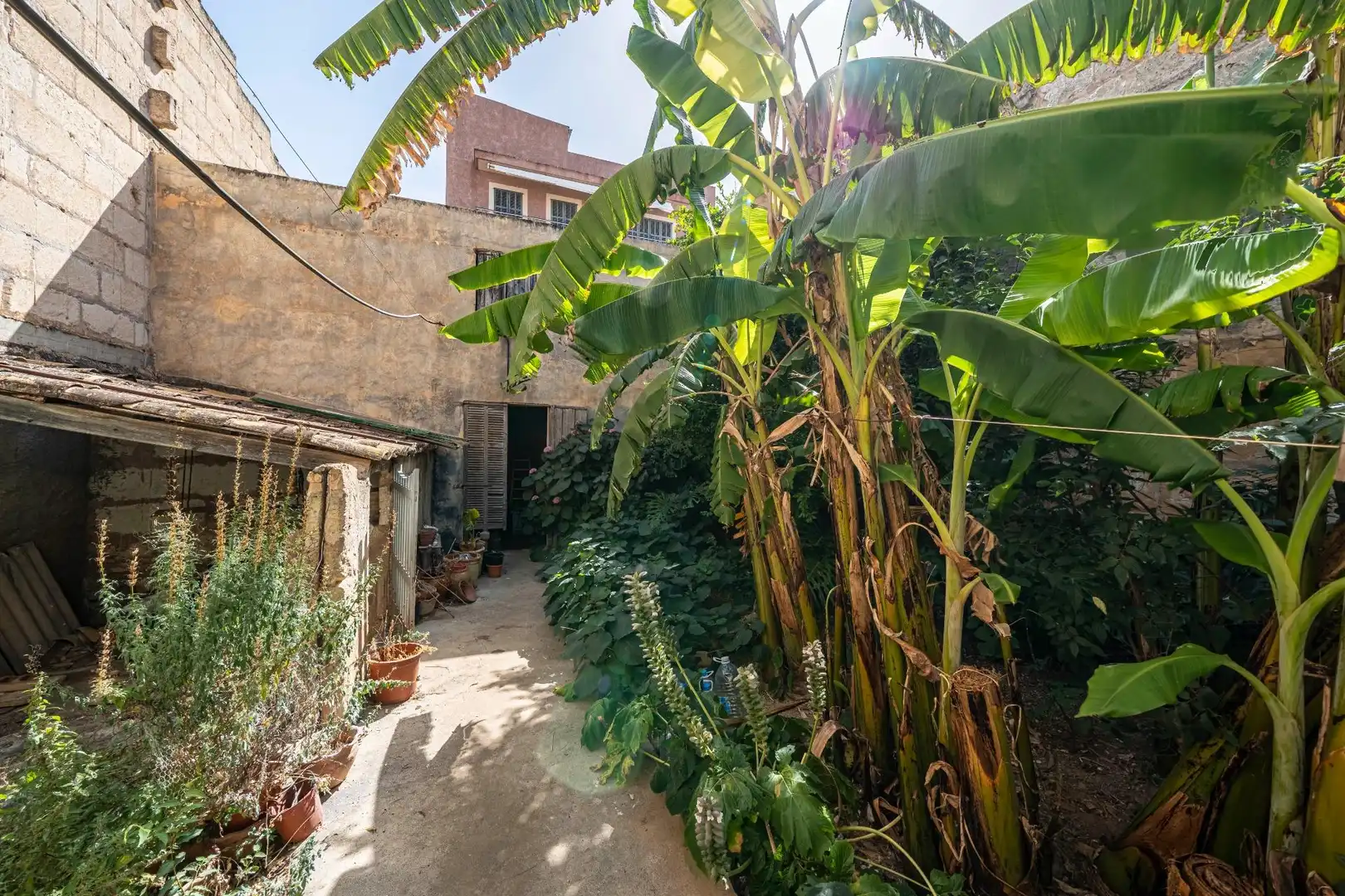 Garden of Houses for sale in Manacor