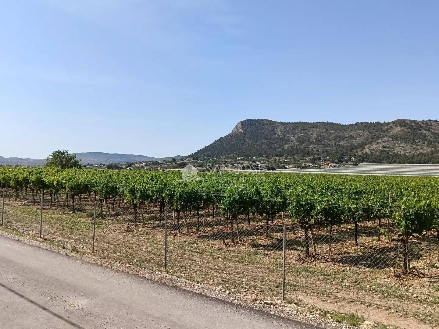 Rustikales Grundstück zum Verkauf in Pedanías Oeste, imagen 17