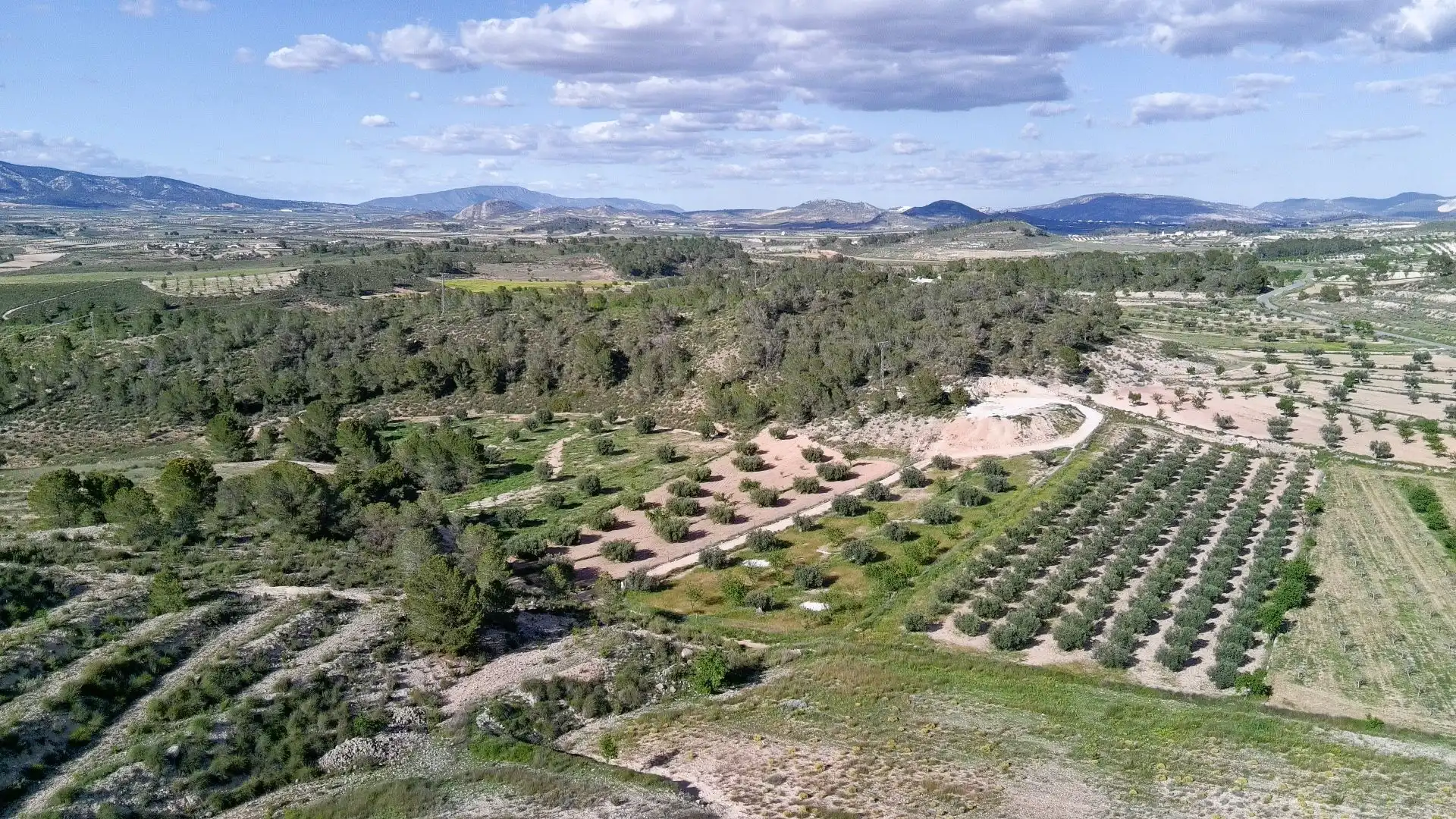 Grundstücke zum Verkauf in Jumilla