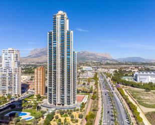 Vista exterior de Apartament en venda en Benidorm amb Terrassa i Piscina