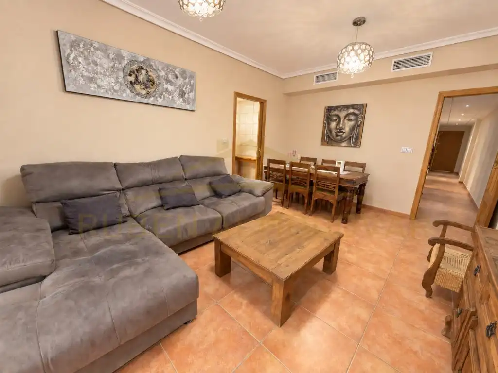 Piso con piscina en venta en Calle Miguel Hernandez 67, imagen 4