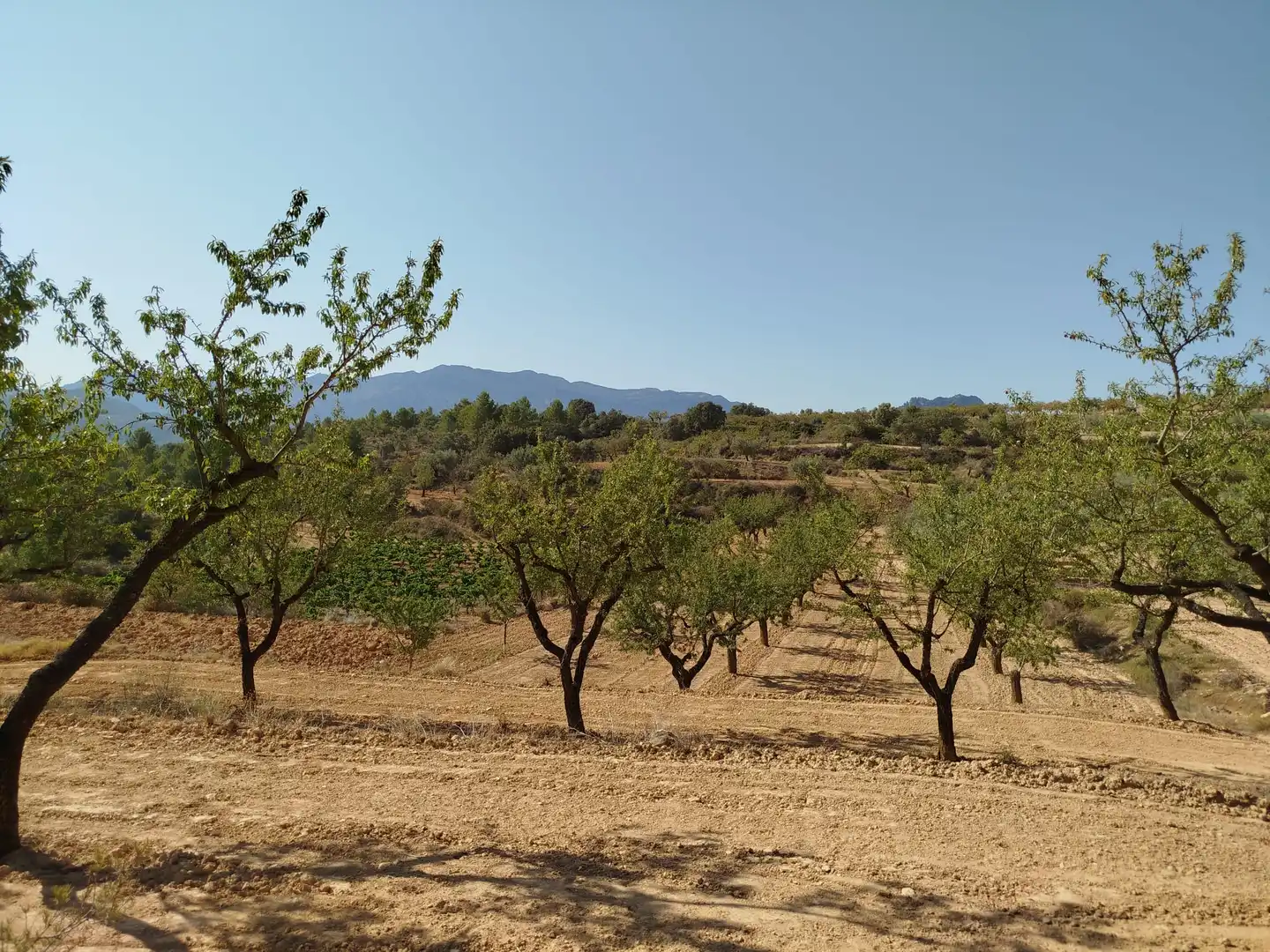 Rural land for sale in Horta de Sant Joan, imagen 11