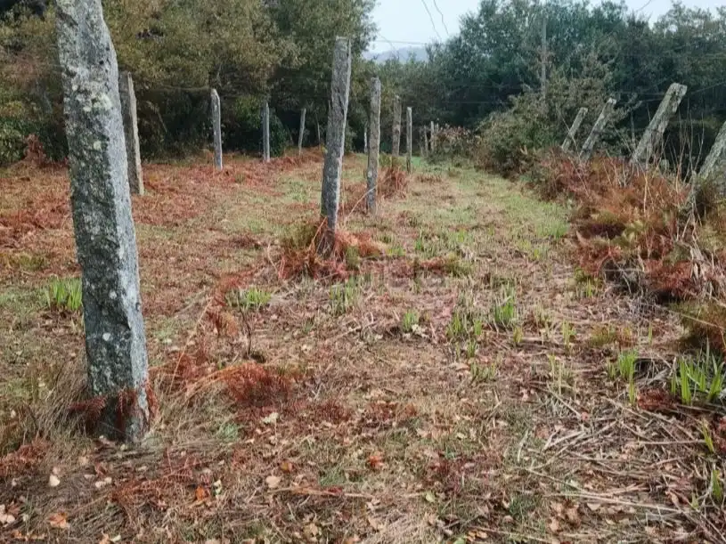 Casa rústica en venda a Aldea Sinde 33, imagen 6
