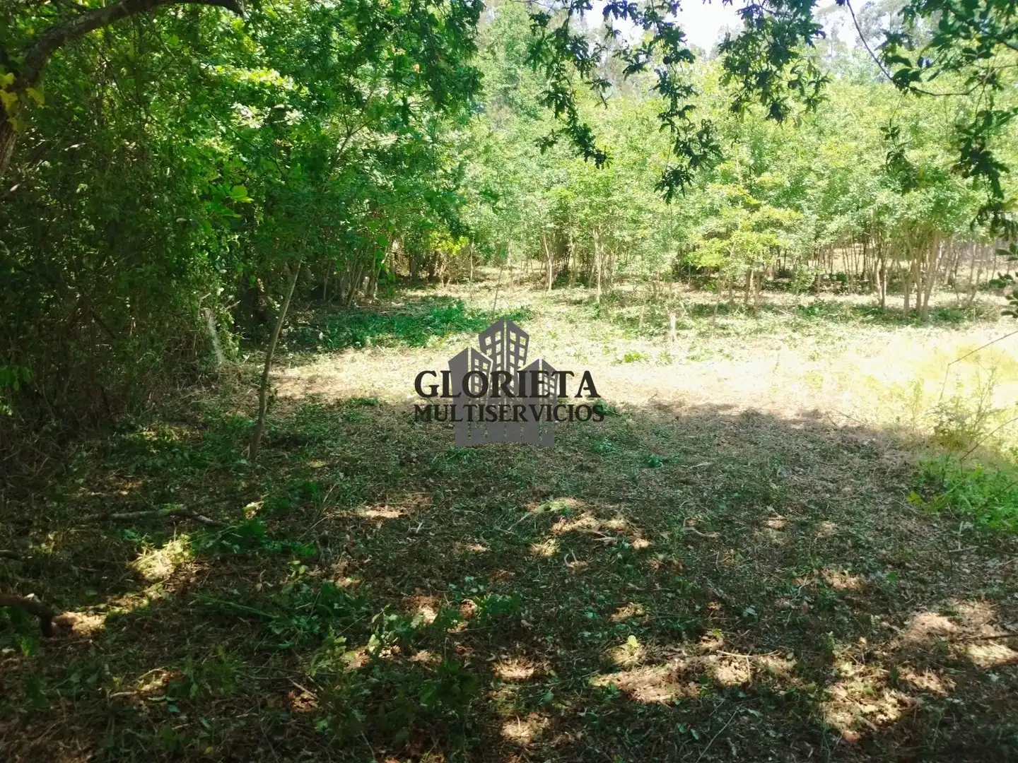 Terreno rústico en venta en Tui, imagen 9
