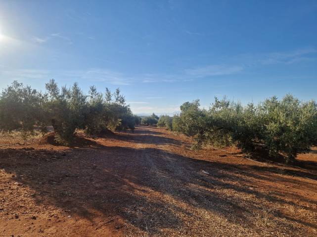 Terreno residencial en Venta en San Roque - La Cruz - La Rozuela