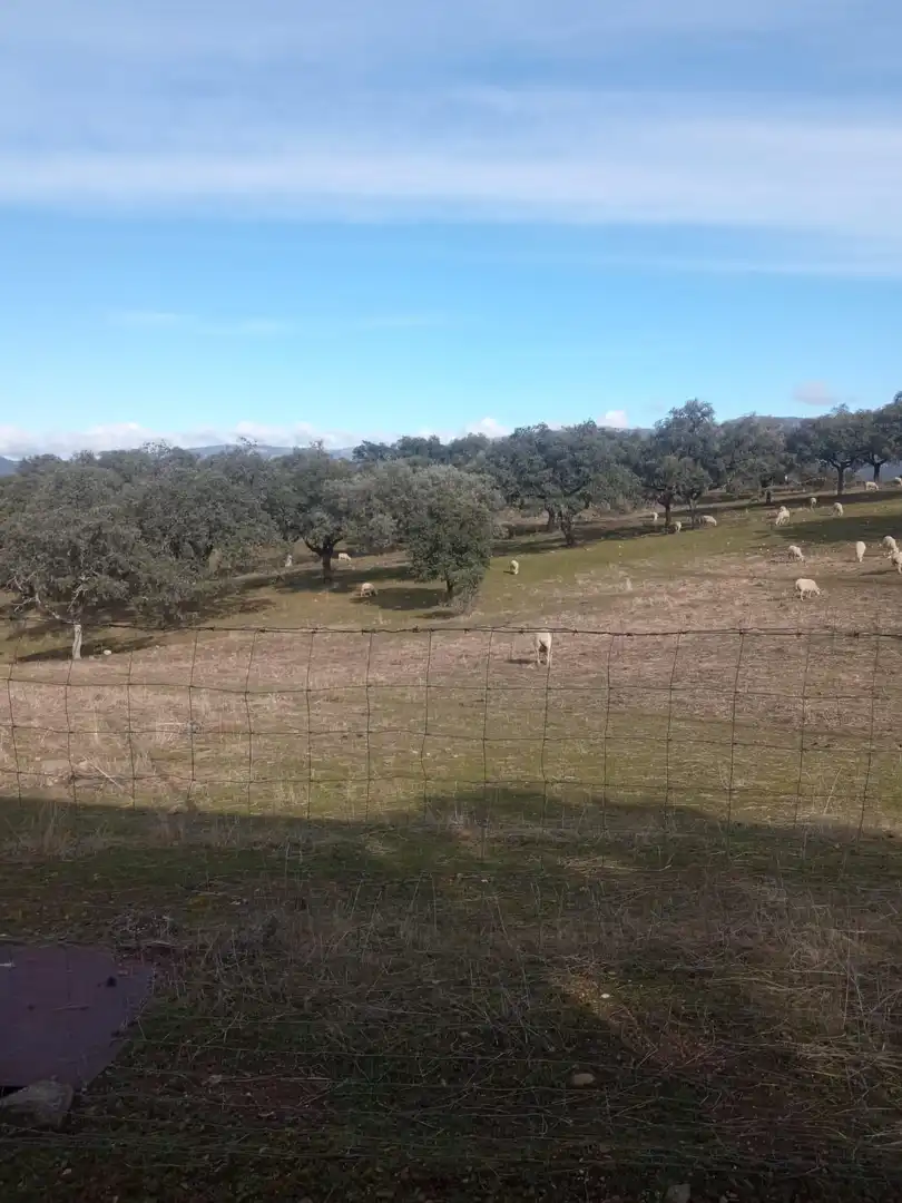 Finca rústica en venda en Cardeña