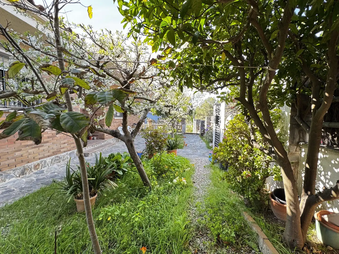 Villa à vendre à Llevantina - Montgavina - Quintmar, imagen 2