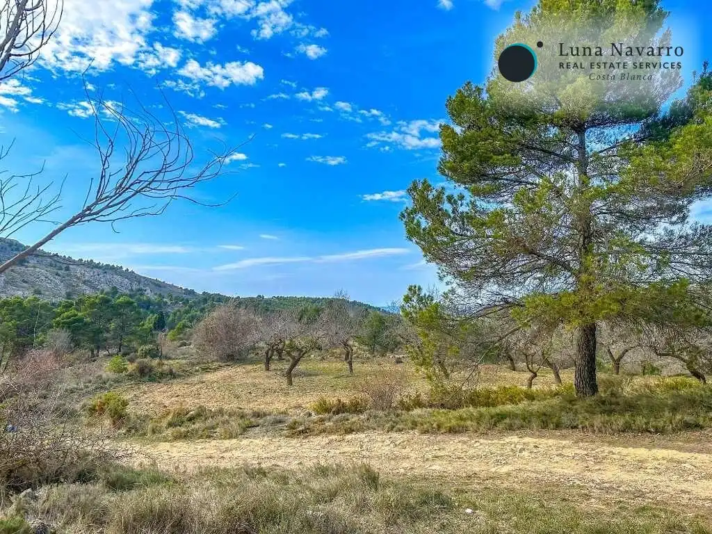 Casa o chalet en venta en Fuente del Abre, Confrides