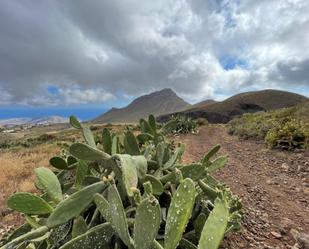 Finca rústica en venda a Arona pueblo