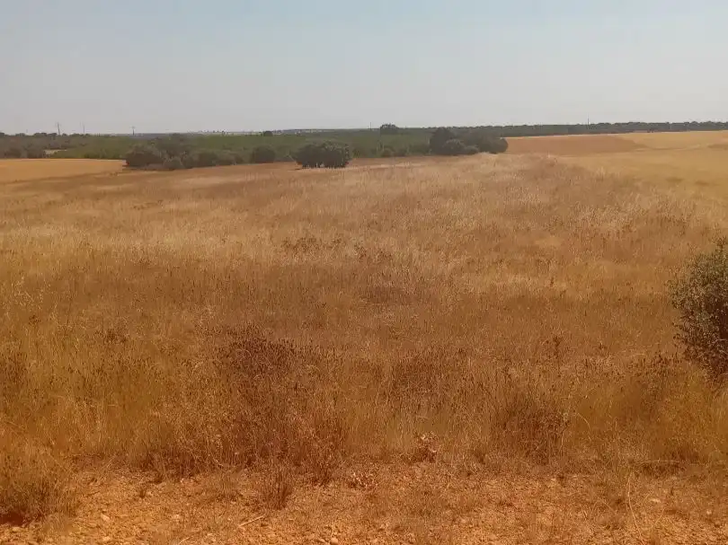 Terreno en venta en Moreruela de Tábara