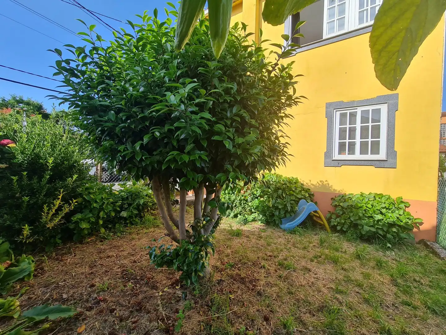 Jardí de Casa o xalet en venda en Noia amb Balcó