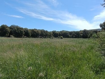 Terreno residencial en venta en Calle Carretera 6