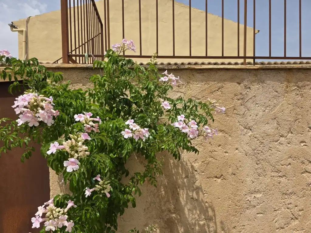 Casa rústica en alquiler en Manacor Centre, imagen 16