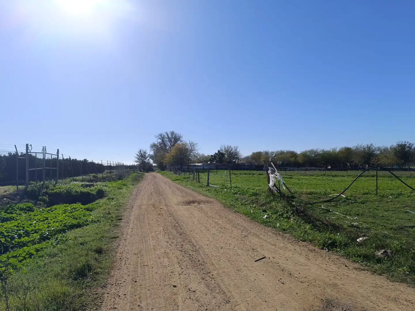 Terreny rústic en venda a La Algaba, imagen 7
