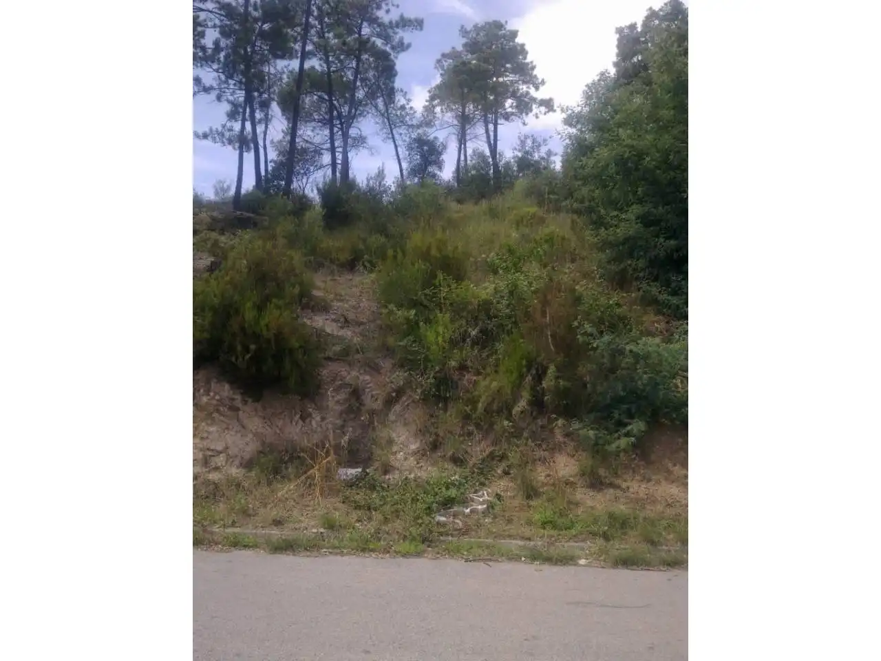 Terreny residencial en venda a Residencial Park, imagen 3