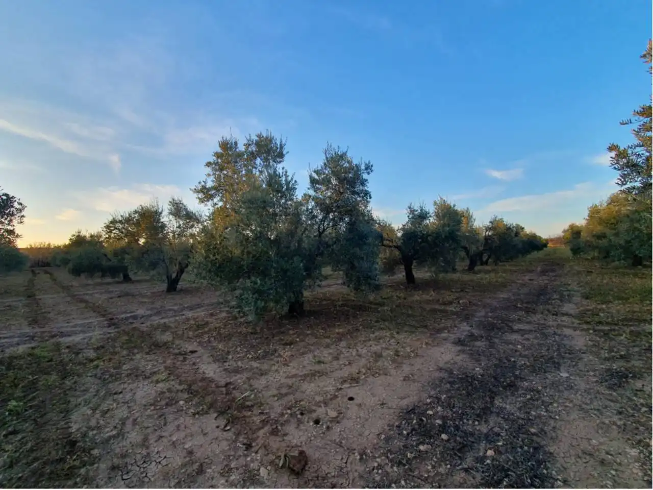 Residencial en venta en Entrín Bajo