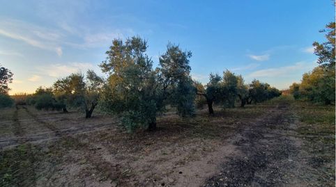 Parcela en venta en Entrín Alto, immagine 3